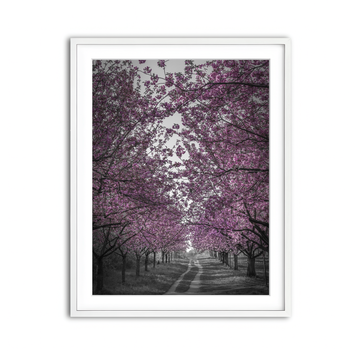 Framed Print 3x4 White