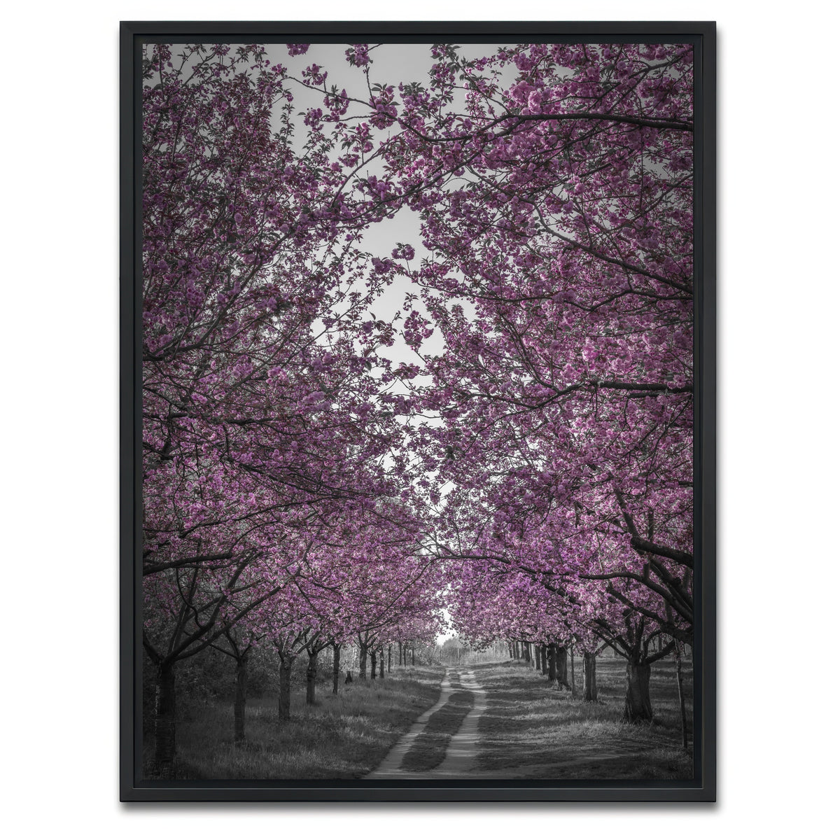 AUTO-MOCKUP WHITE | Amazing cherry blossom alley in pink | 1 Piece | Black Framed Canvas | group=3x4