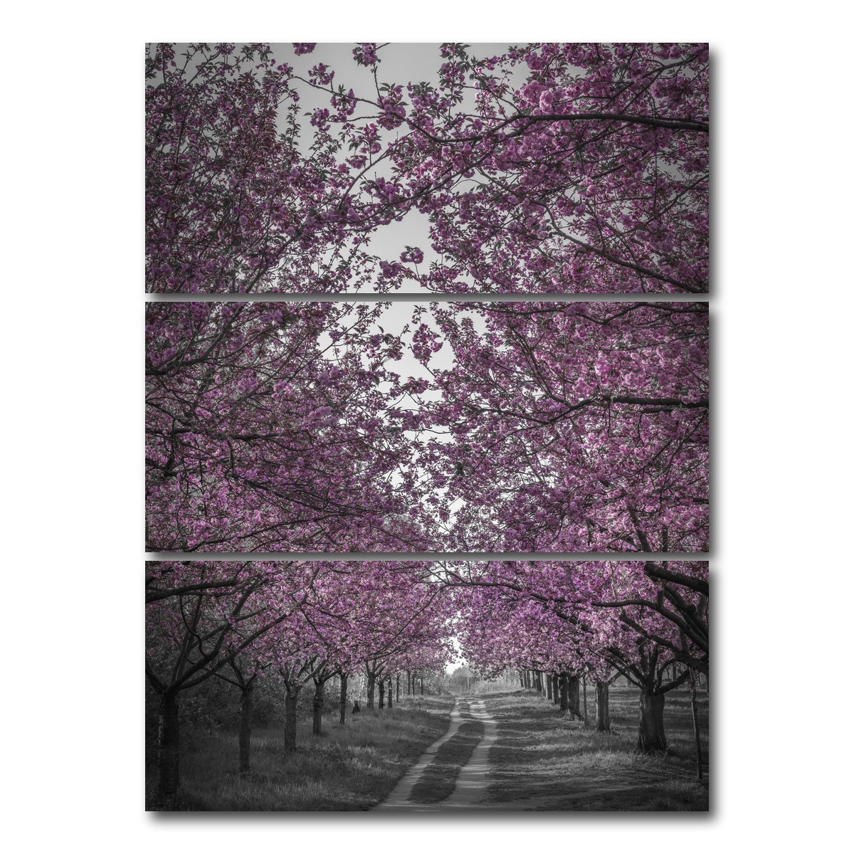AUTO-MOCKUP WHITE | Amazing cherry blossom alley in pink | 3 Piece | Gallery Wrap Canvas | group=8x18_stacked