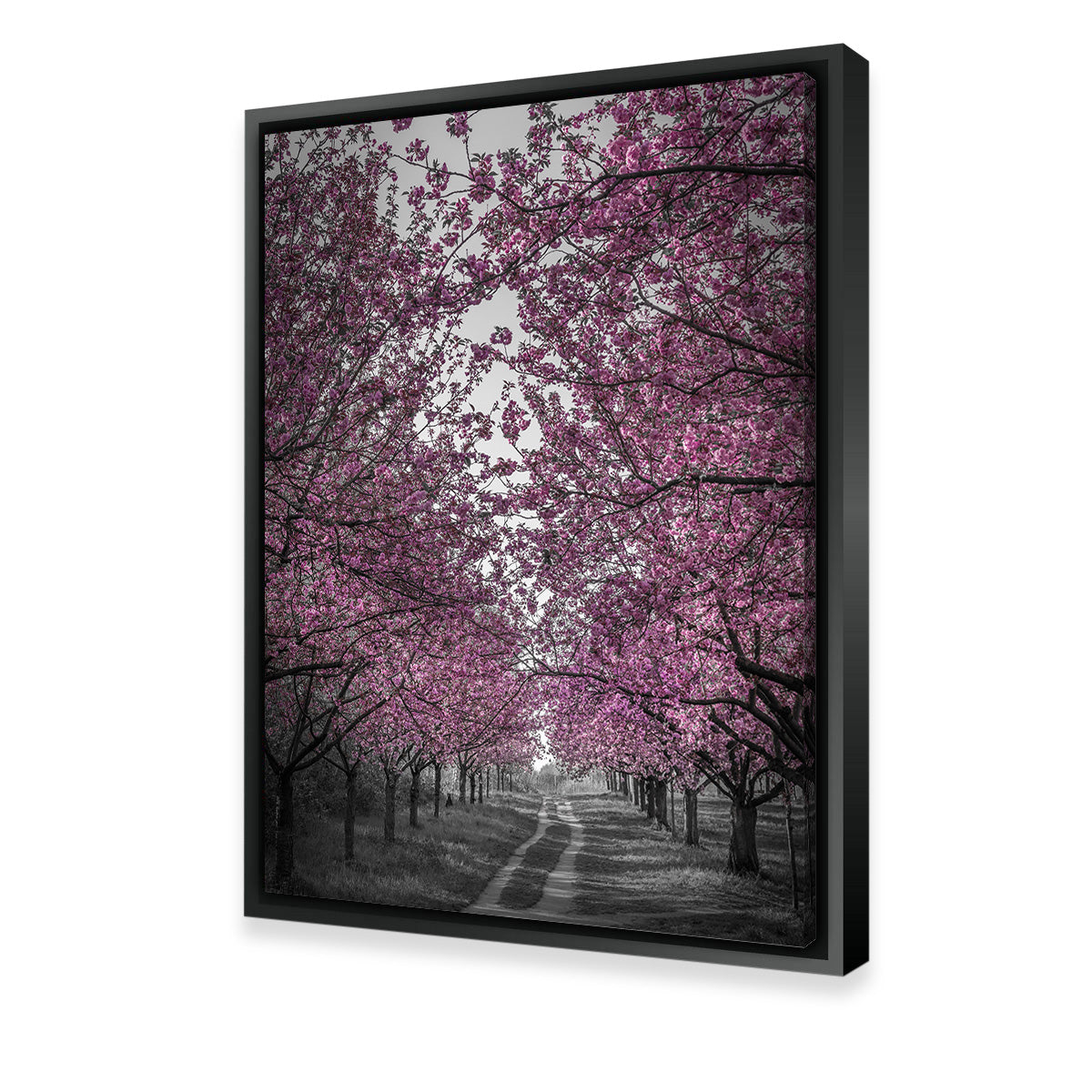 Amazing Cherry Blossom Alley in Pink Wall Art