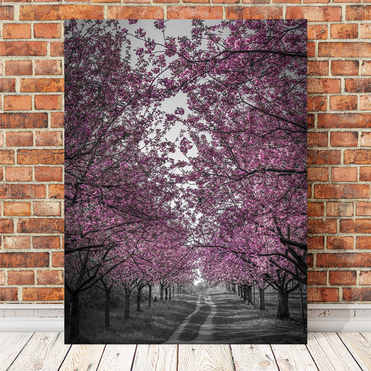 Amazing Cherry Blossom Alley in Pink Wall Art