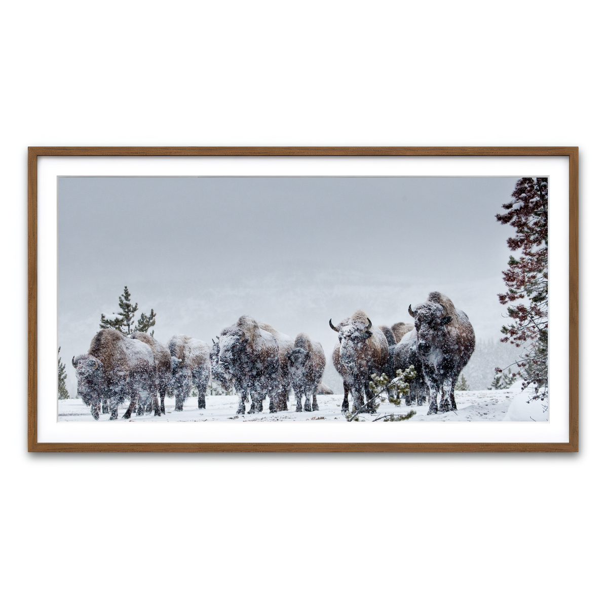 Framed Print 2x1 Walnut