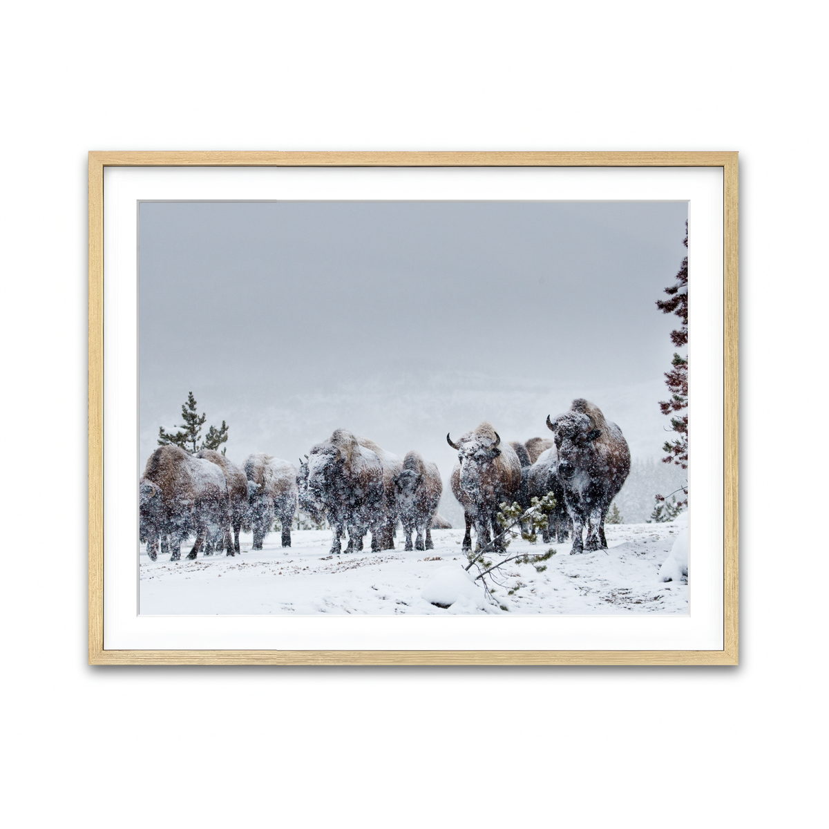 Framed Print 4x3 Natural
