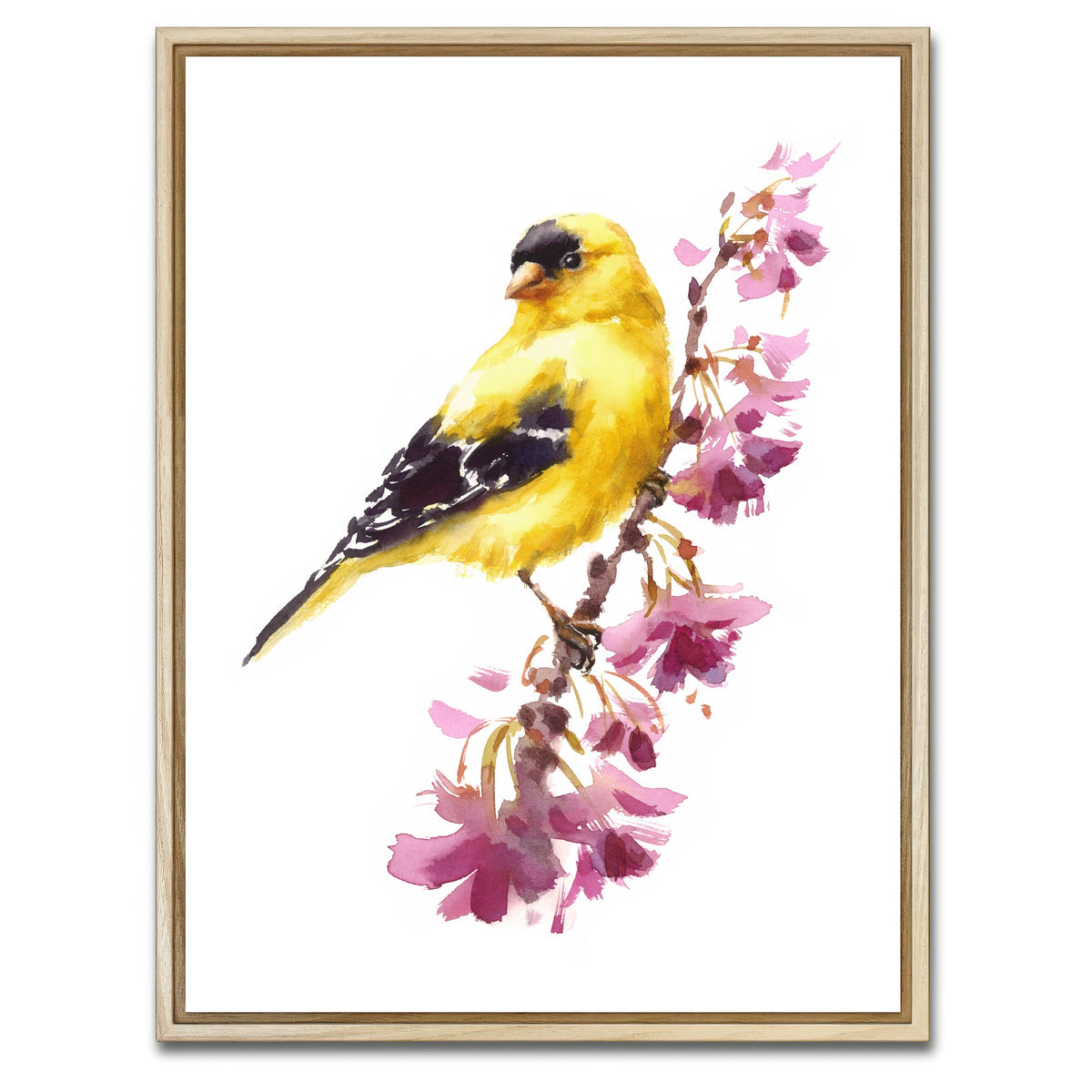 AUTO-MOCKUP WHITE | American Goldfinch | 1 Piece | Natural Framed Canvas | group=3x4