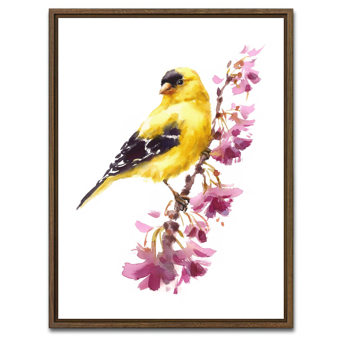 AUTO-MOCKUP WHITE | American Goldfinch | 1 Piece | Walnut Framed Canvas | group=3x4