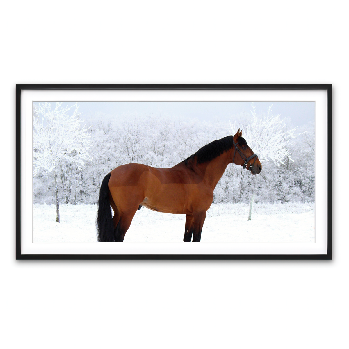 Framed Print 2x1 Black