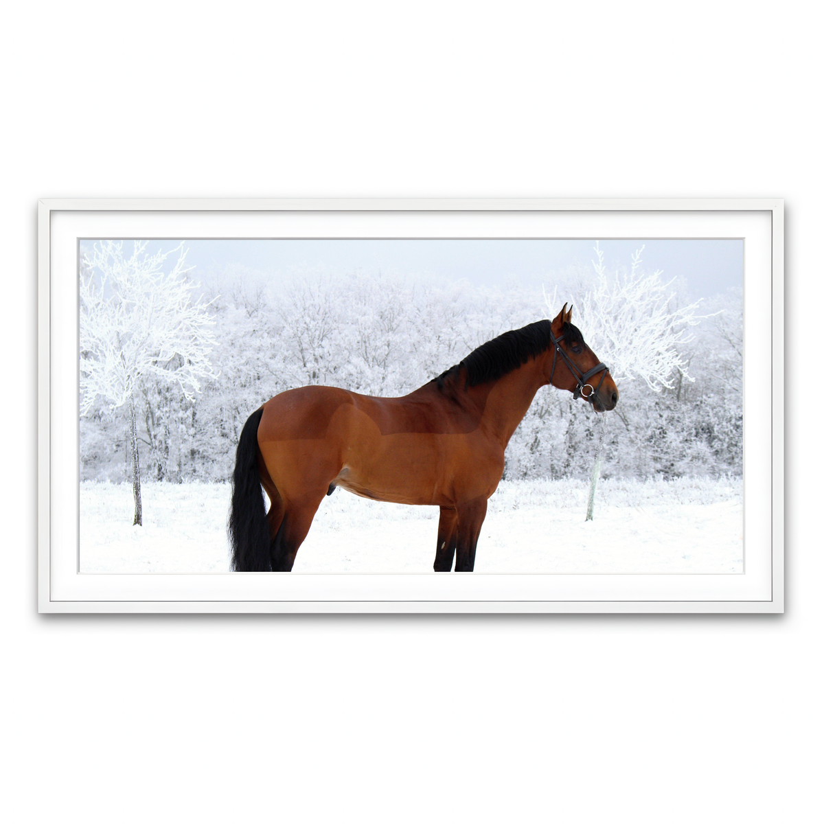 Framed Print 2x1 White