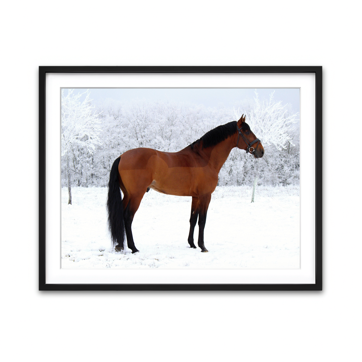 Framed Print 4x3 Black