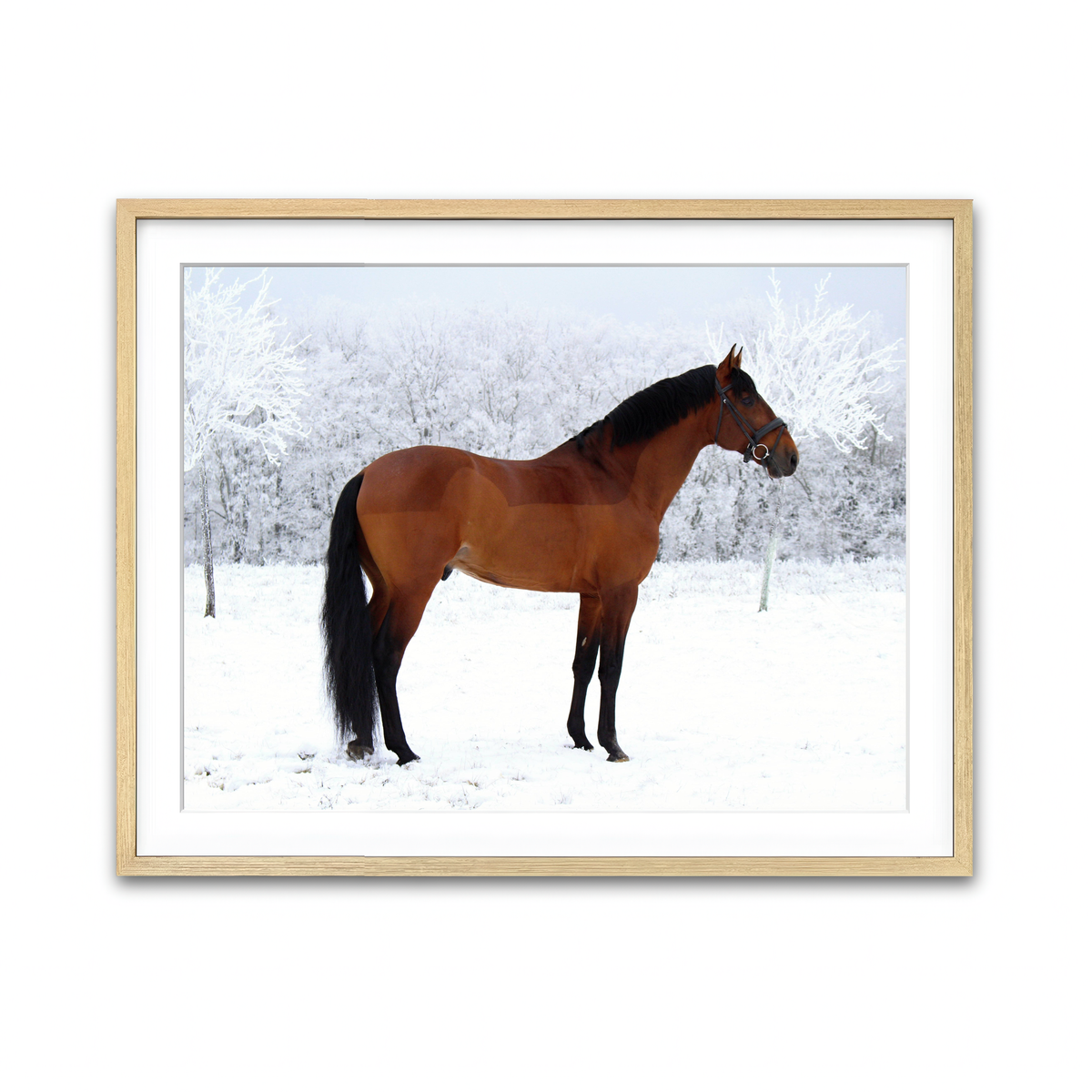 Framed Print 4x3 Natural