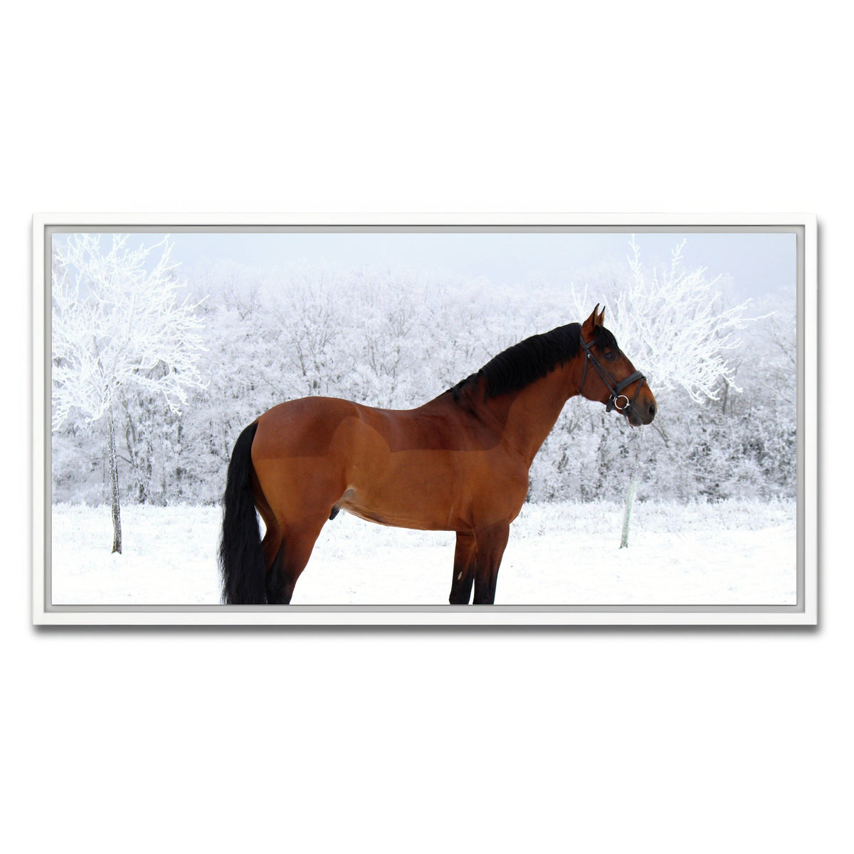 AUTO-MOCKUP WHITE | American Quarter Horse | 1 Piece | White Framed Canvas | group=2x1