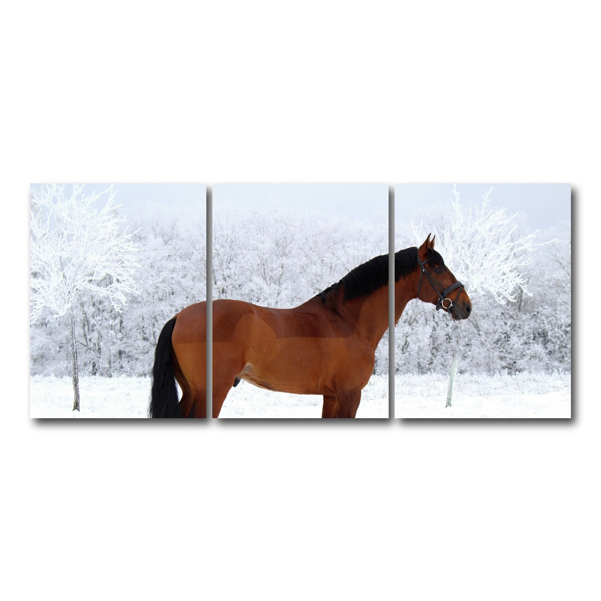 AUTO-MOCKUP WHITE | American Quarter Horse | 3 Piece | Gallery Wrap Canvas | group=18x24