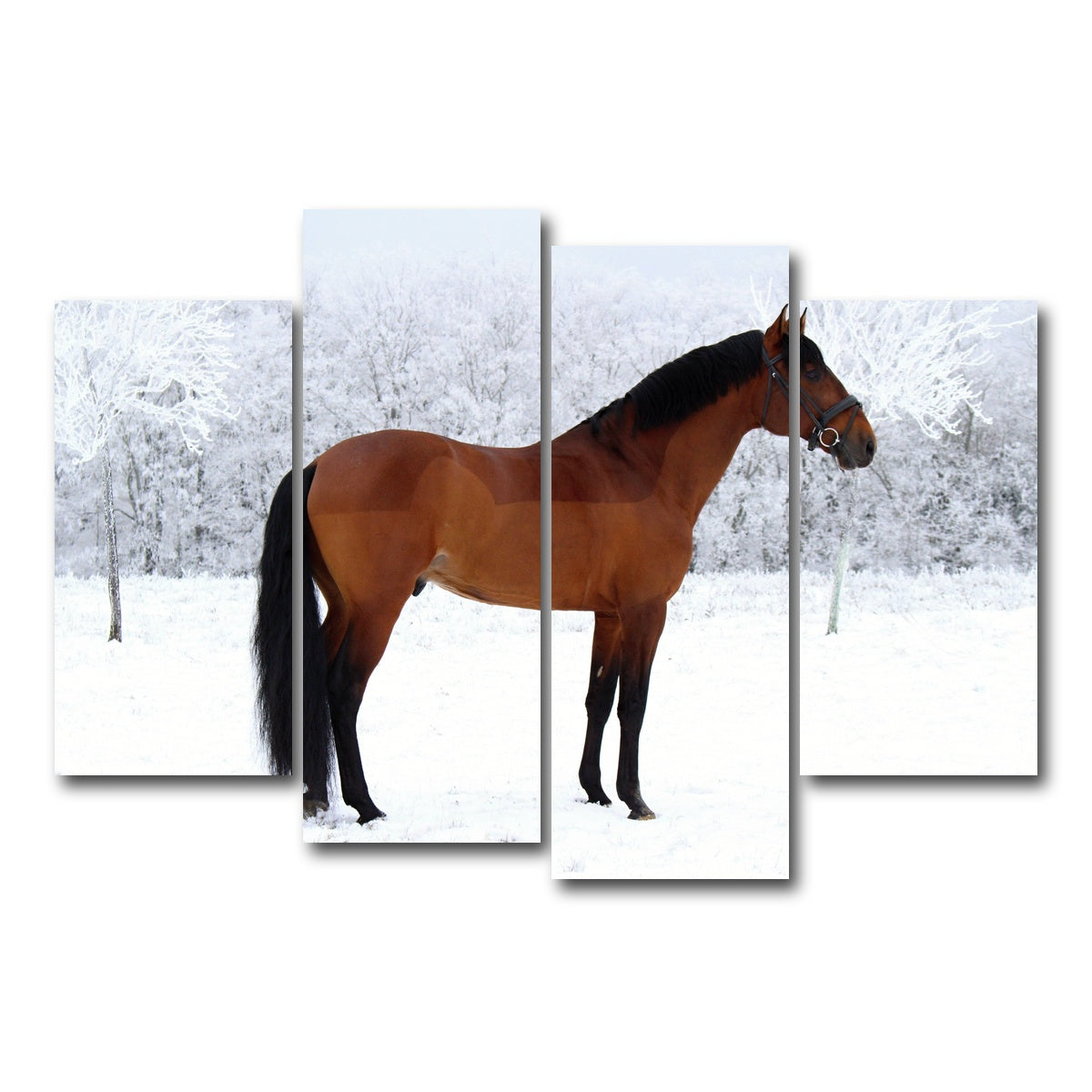 AUTO-MOCKUP WHITE | American Quarter Horse | 4 Piece | Gallery Wrap Canvas | group=4_short