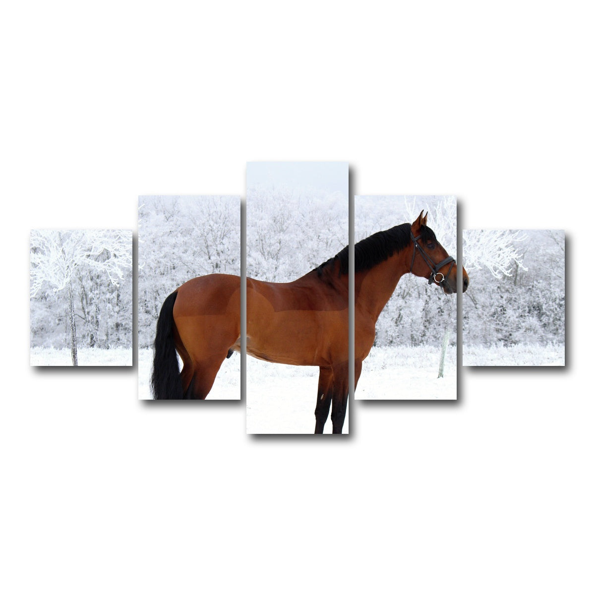 AUTO-MOCKUP WHITE | American Quarter Horse | 5 Piece | Gallery Wrap Canvas | group=5_short