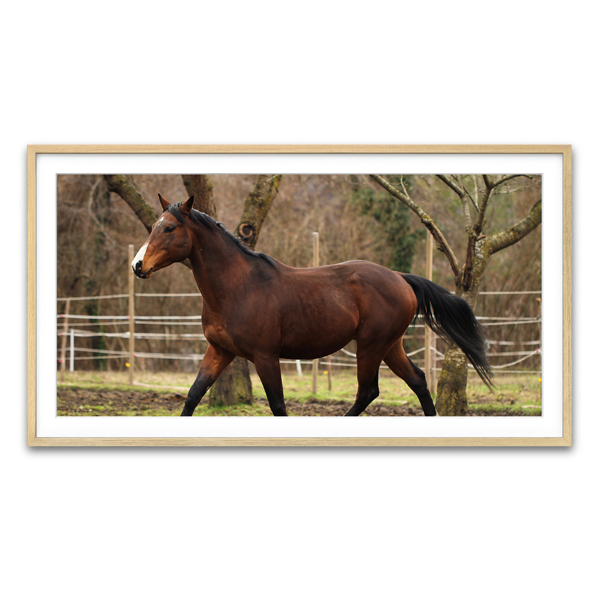 Framed Print 2x1 Natural