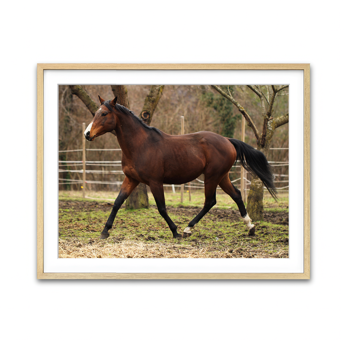 Framed Print 4x3 Natural