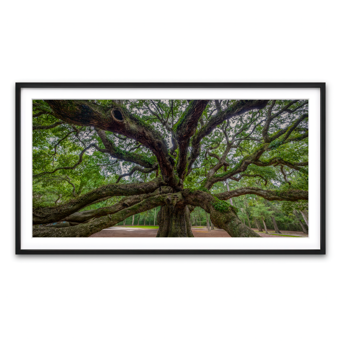 Framed Print 2x1 Black