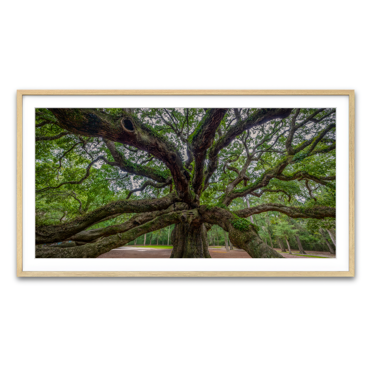 Framed Print 2x1 Natural