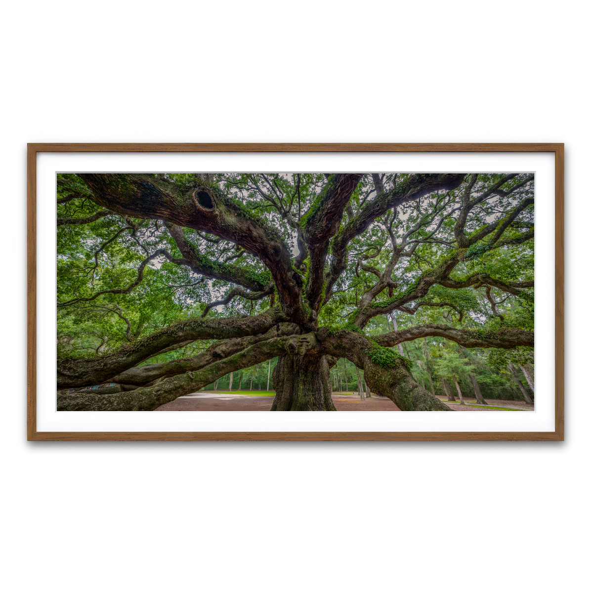 Framed Print 2x1 Walnut
