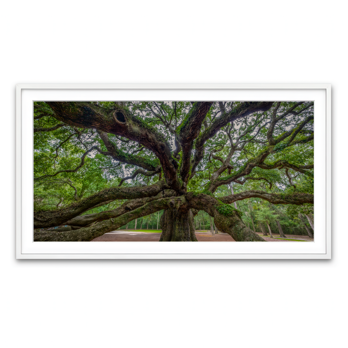 Framed Print 2x1 White