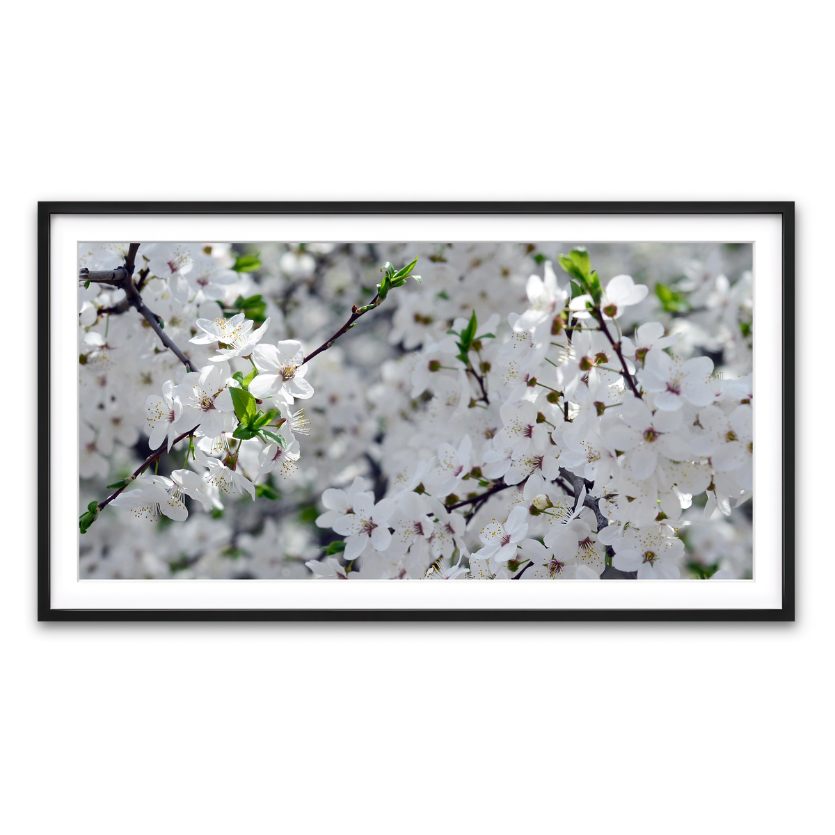 Framed Print 2x1 Black