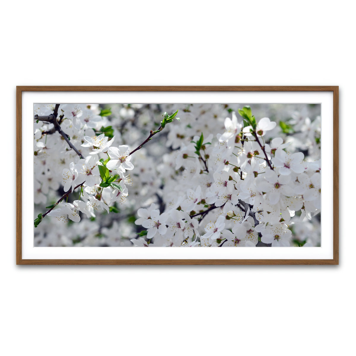 Framed Print 2x1 Walnut