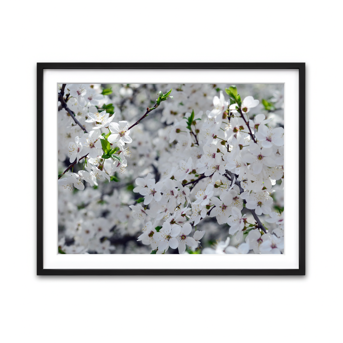 Framed Print 4x3 Black