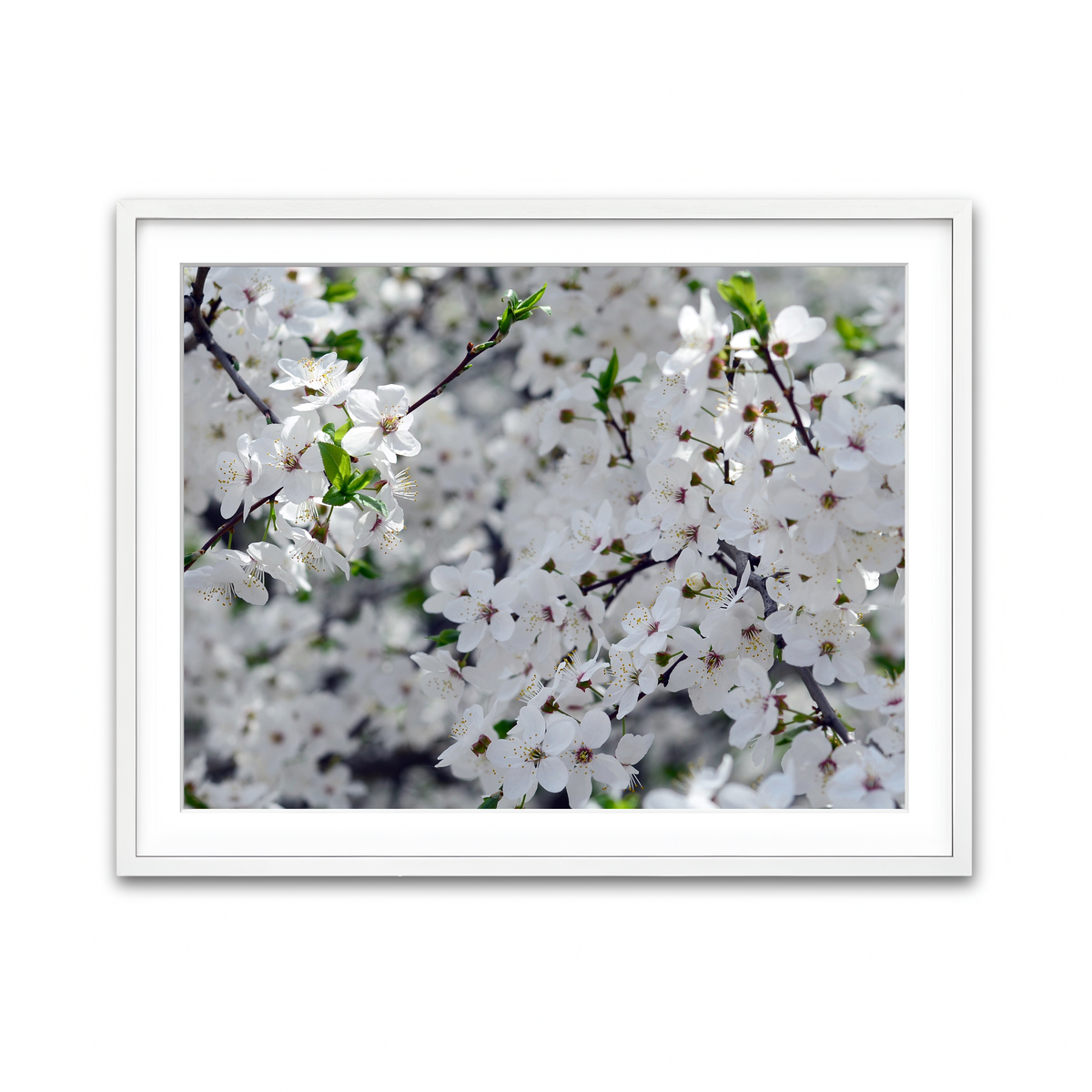 Framed Print 4x3 White