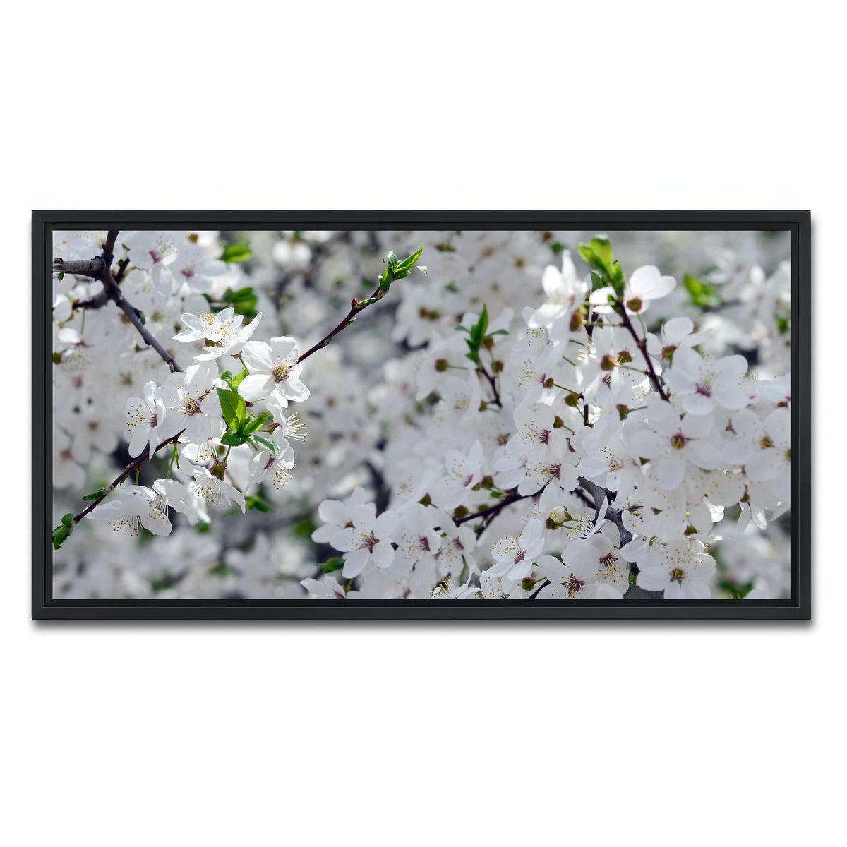 AUTO-MOCKUP WHITE | Apple Tree Blossoms | 1 Piece | Black Framed Canvas | group=2x1