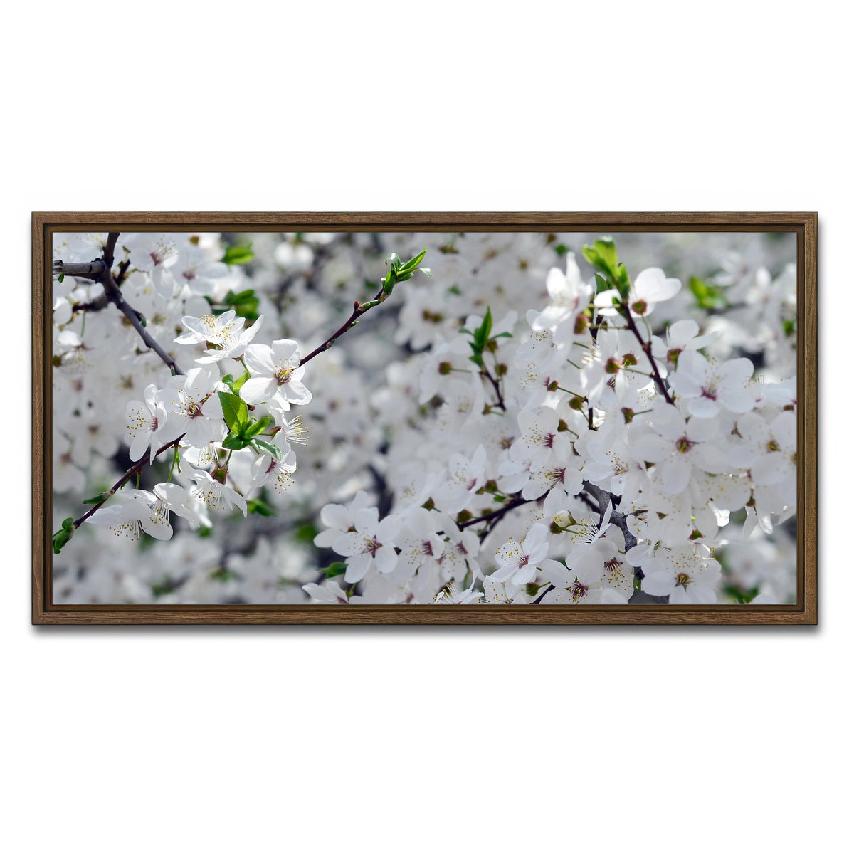 AUTO-MOCKUP WHITE | Apple Tree Blossoms | 1 Piece | Walnut Framed Canvas | group=2x1