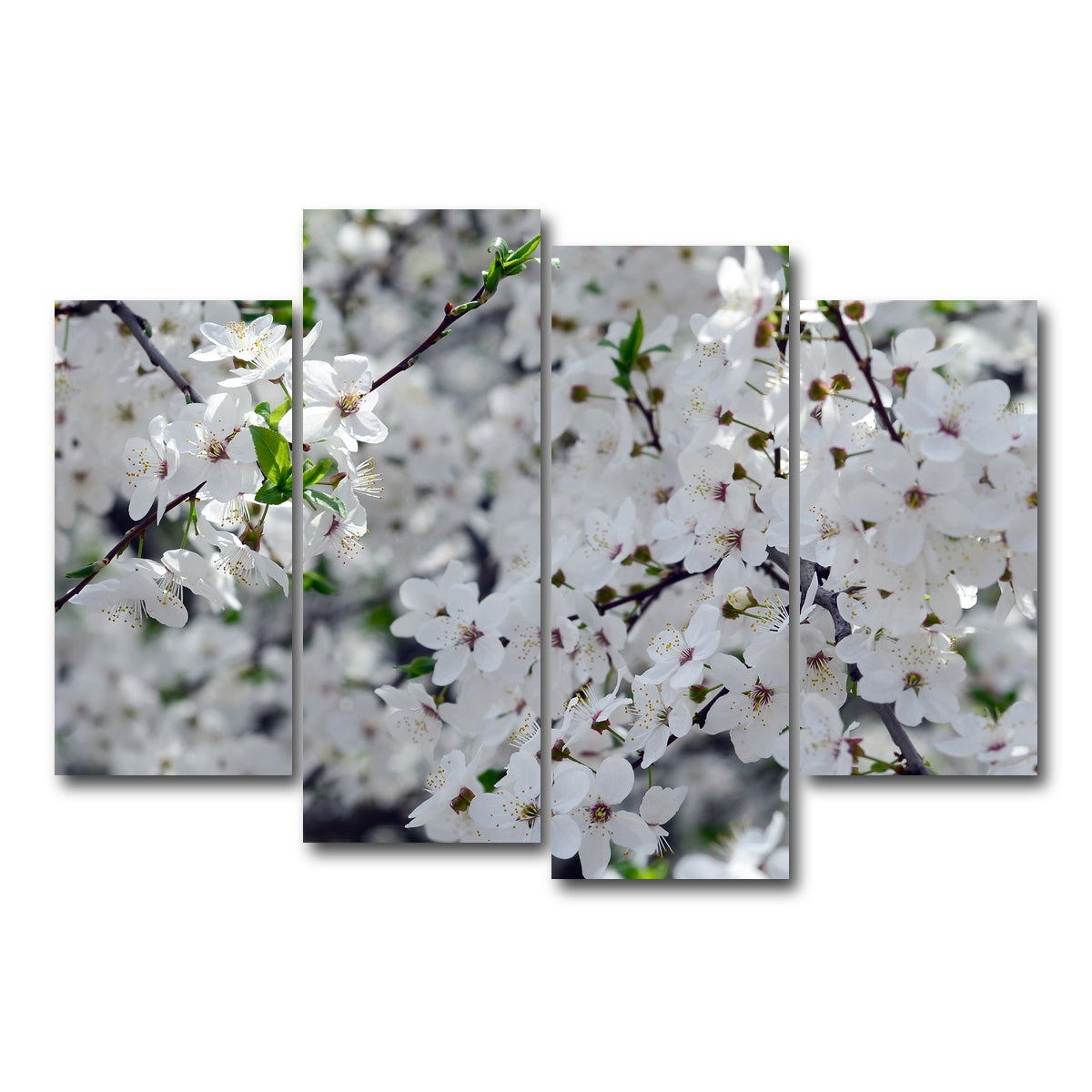 AUTO-MOCKUP WHITE | Apple Tree Blossoms | 4 Piece | Gallery Wrap Canvas | group=4_short