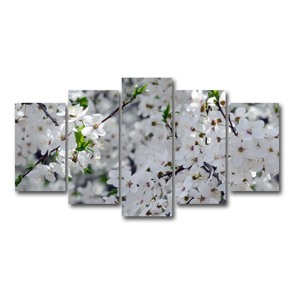 AUTO-MOCKUP WHITE | Apple Tree Blossoms | 5 Piece | Gallery Wrap Canvas | group=5_normal