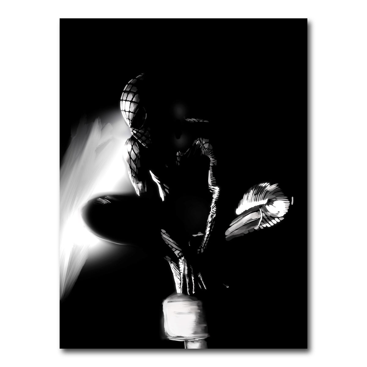 AUTO-MOCKUP WHITE | Arachnid | 1 Piece | Gallery Wrap Canvas | group=3x4