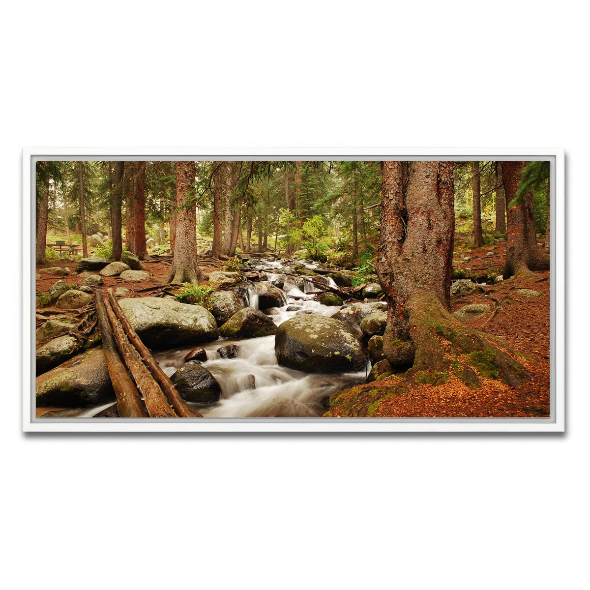 AUTO-MOCKUP WHITE | Arapaho National Forest Mountain Stream | 1 Piece | White Framed Canvas | group=2x1