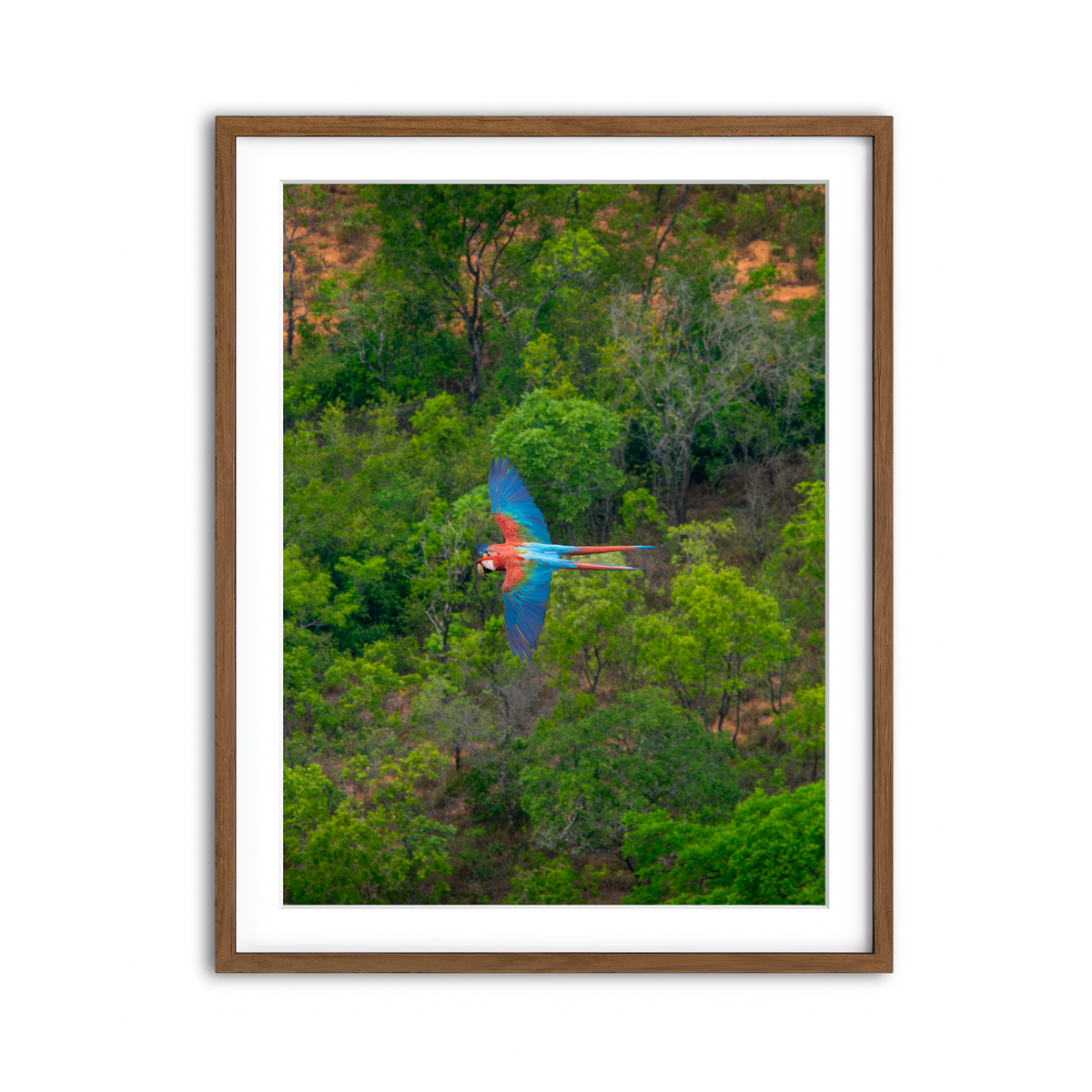 Framed Print 3x4 Walnut