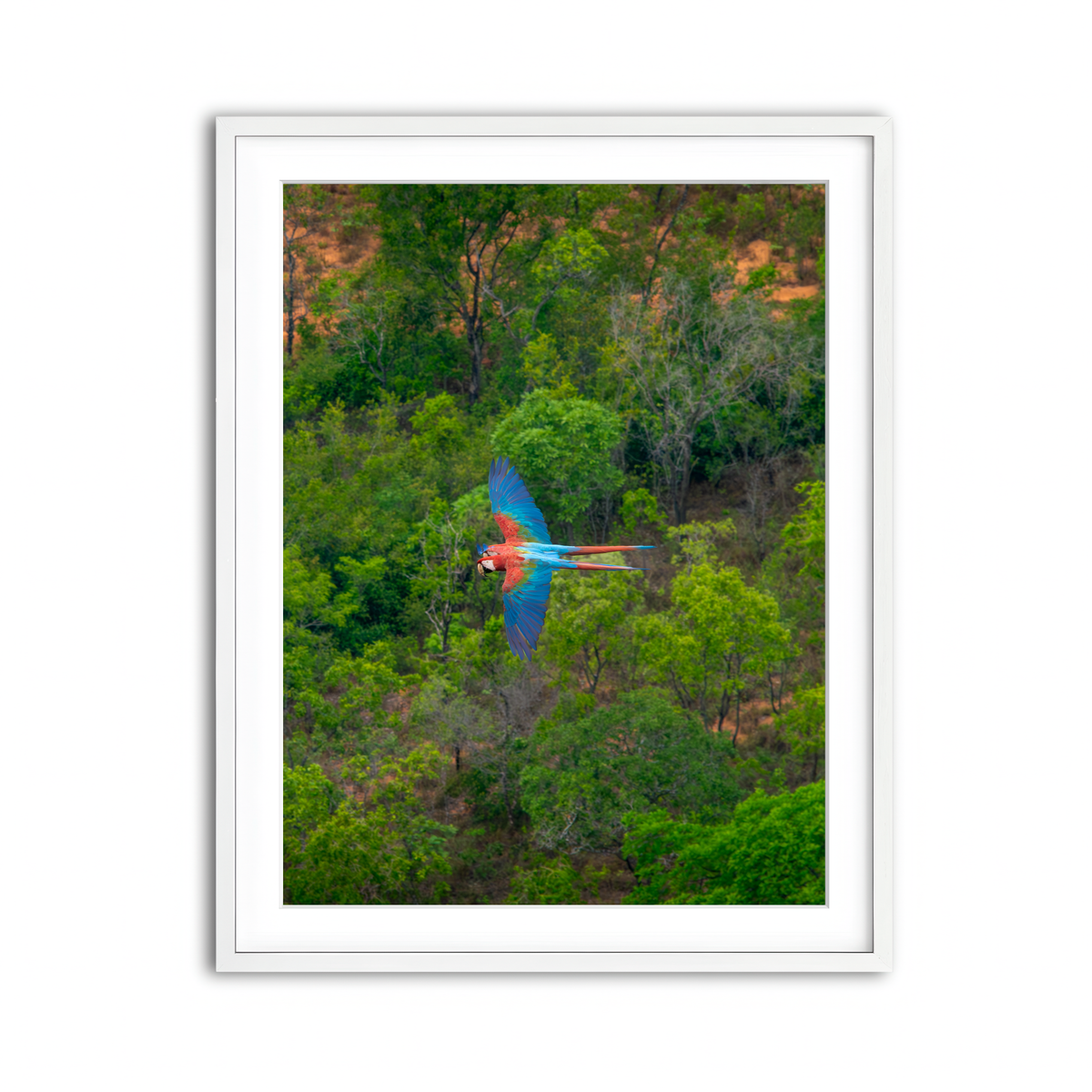 Framed Print 3x4 White