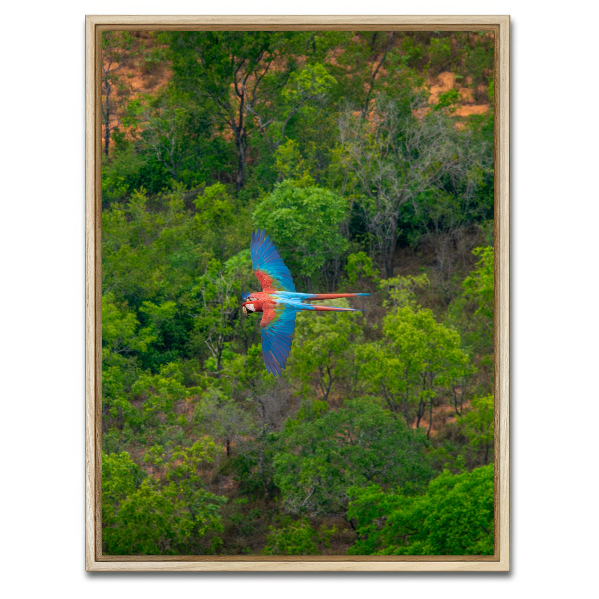 AUTO-MOCKUP WHITE | Arara | 1 Piece | Natural Framed Canvas | group=3x4