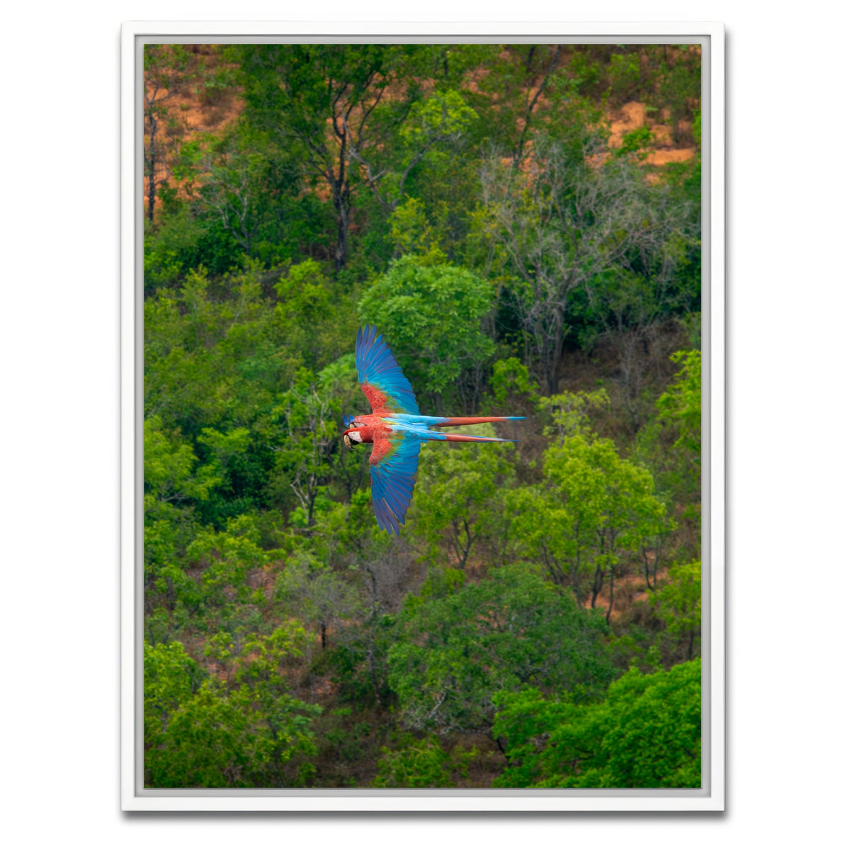 AUTO-MOCKUP WHITE | Arara | 1 Piece | White Framed Canvas | group=3x4