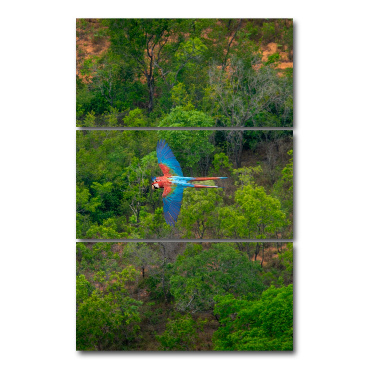 AUTO-MOCKUP WHITE | Arara | 3 Piece | Gallery Wrap Canvas | group=12x24_stacked