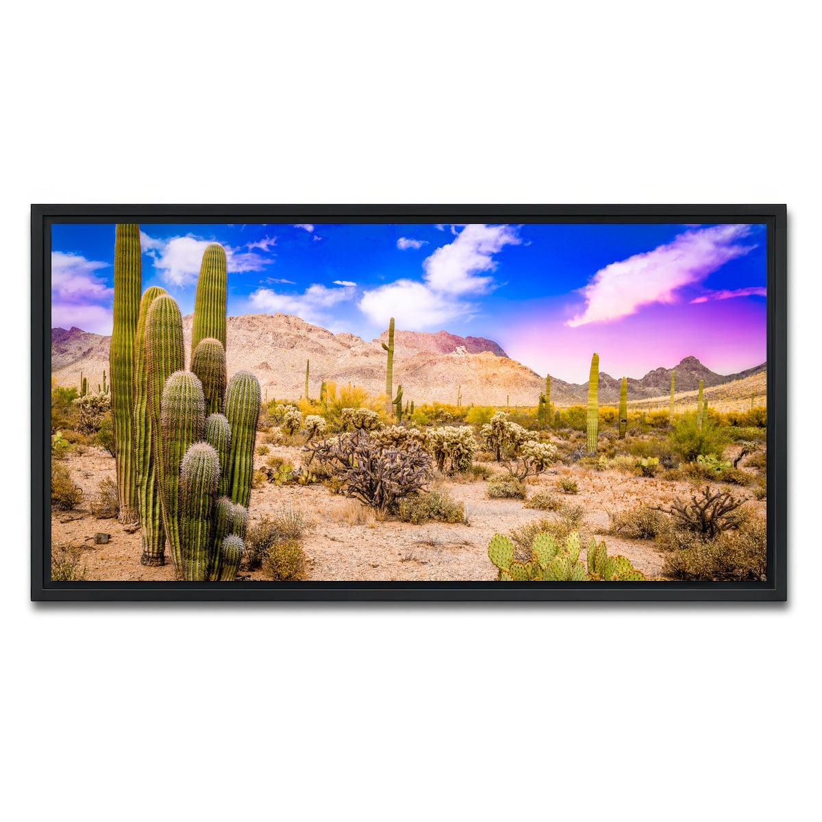 AUTO-MOCKUP WHITE | Arizona Desert Springtime | 1 Piece | Black Framed Canvas | group=2x1