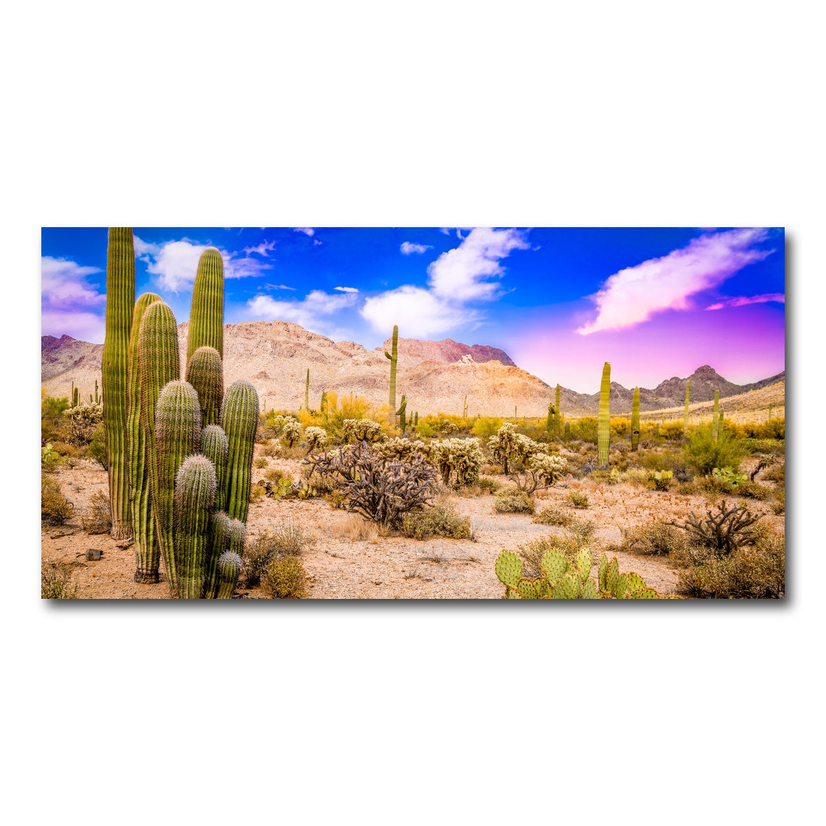 AUTO-MOCKUP WHITE | Arizona Desert Springtime | 1 Piece | Gallery Wrap Canvas | group=2x1