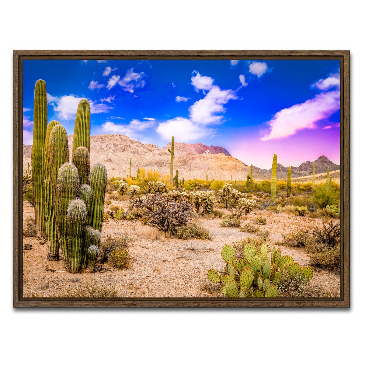 AUTO-MOCKUP WHITE | Arizona Desert Springtime | 1 Piece | Walnut Framed Canvas | group=4x3