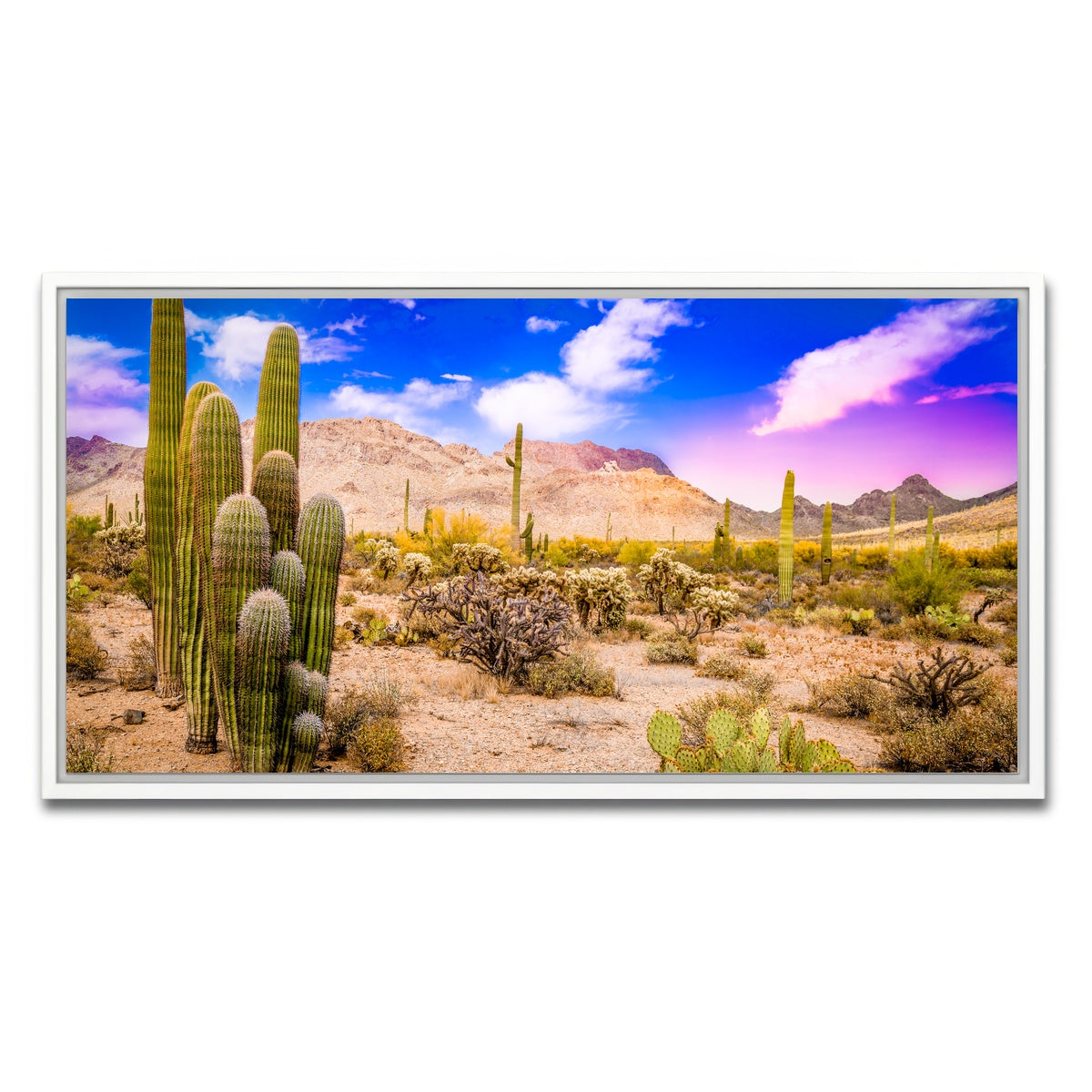 AUTO-MOCKUP WHITE | Arizona Desert Springtime | 1 Piece | White Framed Canvas | group=2x1