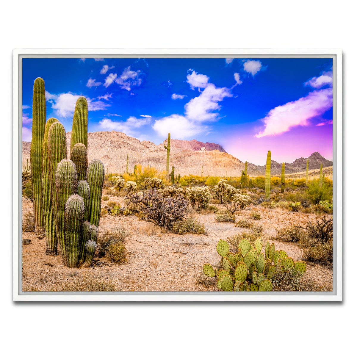 AUTO-MOCKUP WHITE | Arizona Desert Springtime | 1 Piece | White Framed Canvas | group=4x3