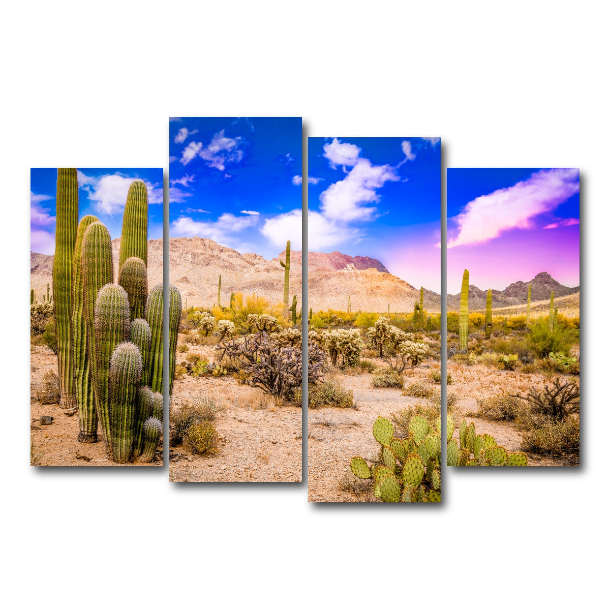 AUTO-MOCKUP WHITE | Arizona Desert Springtime | 4 Piece | Gallery Wrap Canvas | group=4_normal