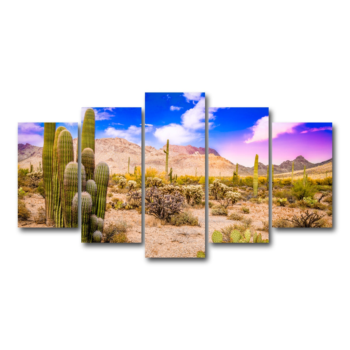 AUTO-MOCKUP WHITE | Arizona Desert Springtime | 5 Piece | Gallery Wrap Canvas | group=5_normal