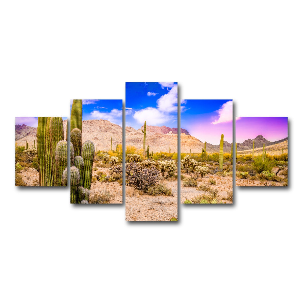 AUTO-MOCKUP WHITE | Arizona Desert Springtime | 5 Piece | Gallery Wrap Canvas | group=5_short