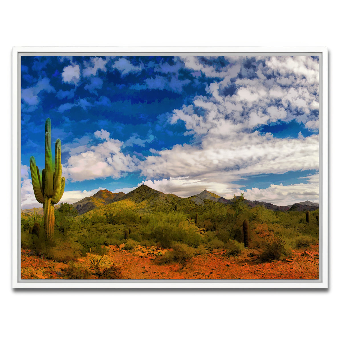 AUTO-MOCKUP WHITE | Arizona Desert | 1 Piece | White Framed Canvas | group=4x3