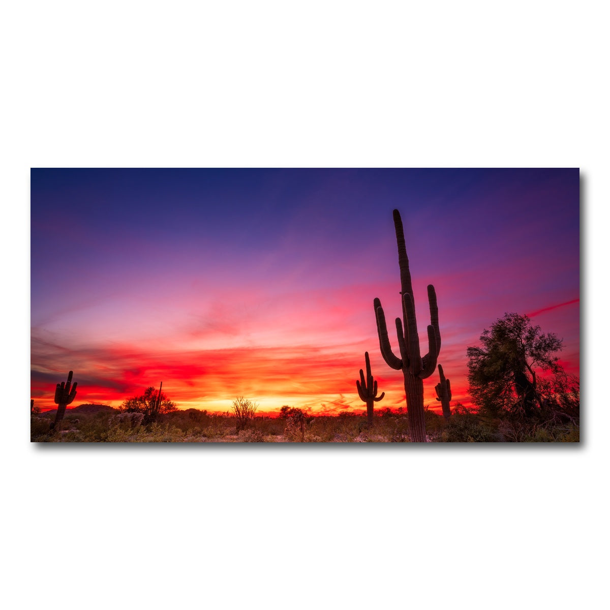 AUTO-MOCKUP WHITE | Arizona Landscape | 1 Piece | Gallery Wrap Canvas | group=2x1