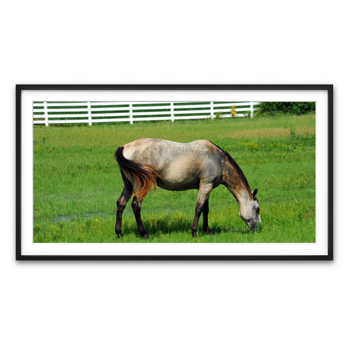 Framed Print 2x1 Black