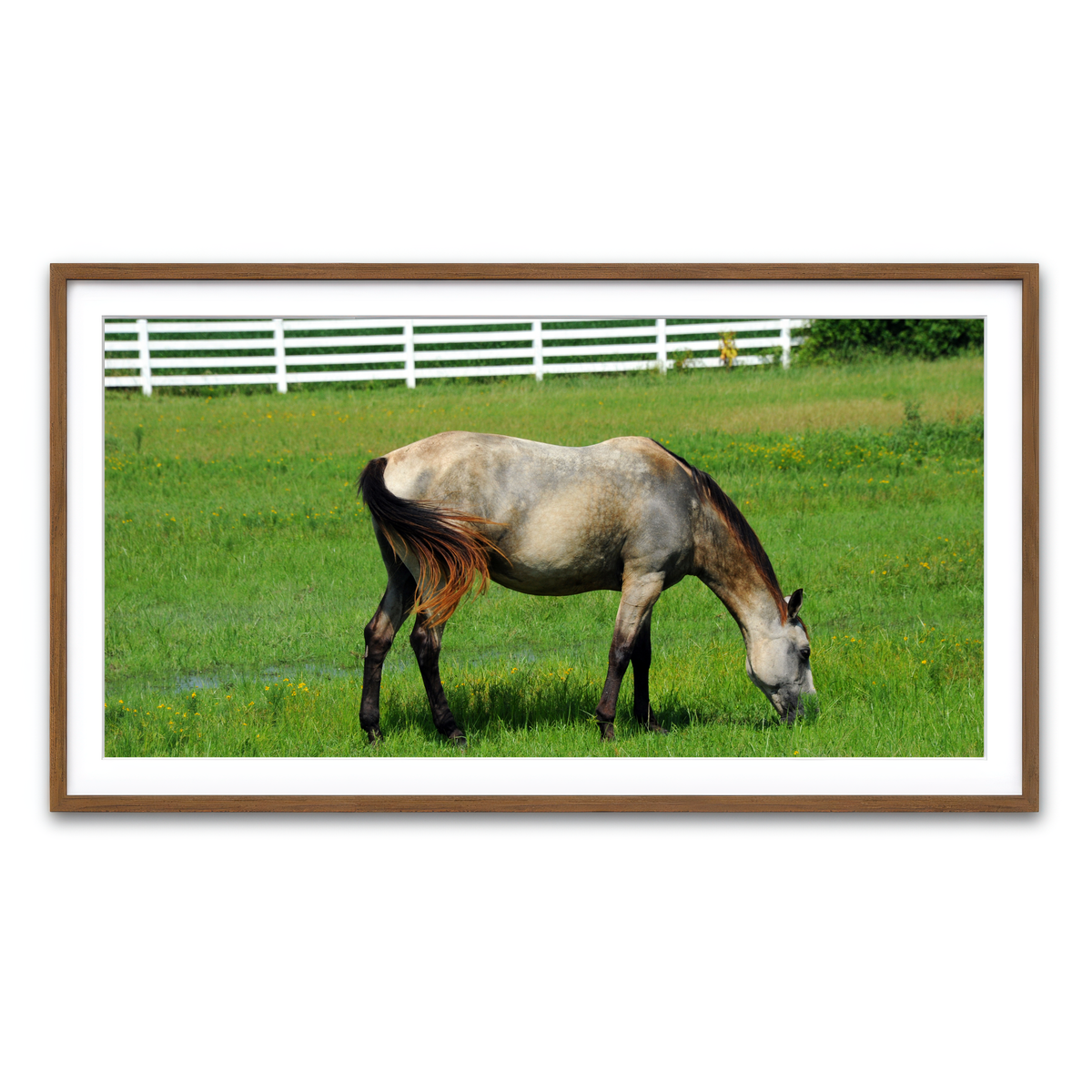 Framed Print 2x1 Walnut